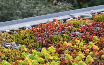 the cost of Lochranza green roof installation